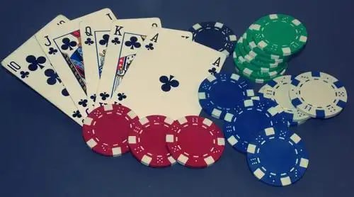 bet confiavel